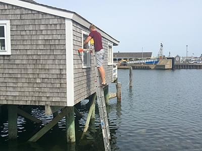 Window Washing in Action